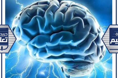 هل يرتبط الدماغ الأكبر حجماً بالذكاء بالفعل؟