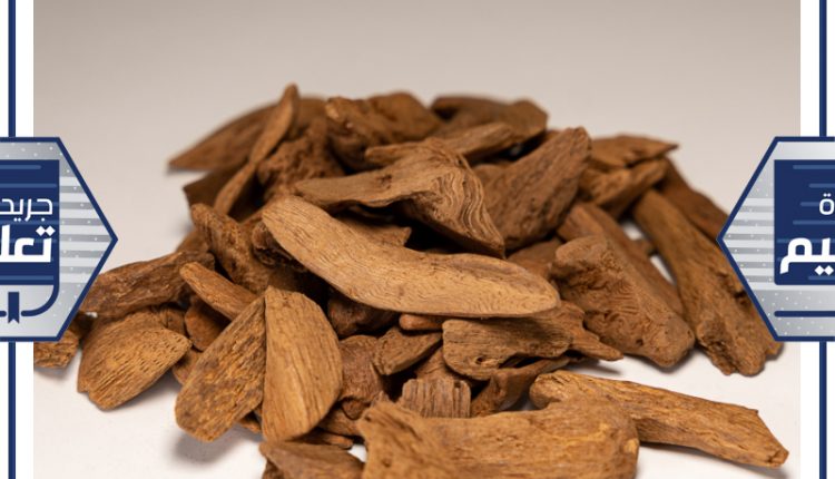 بخور ارياني اندونيسي